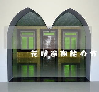 花呗逾期能办分期手机吗 花呗逾期能办分期手机吗