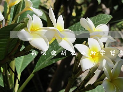 花呗逾期能办助学贷款吗 花呗逾期能办助学贷款吗