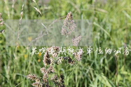 花呗逾期能办单位的公务卡 花呗逾期能办单位的公务卡