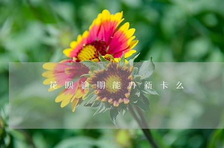 花呗逾期能办新卡么 花呗逾期能办新卡么