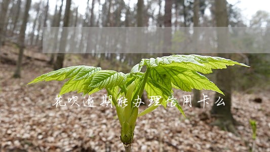 花呗逾期能办理信用卡么 花呗逾期能办理信用卡么