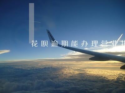花呗逾期能办理营业执照吗 花呗逾期能办理营业执照吗