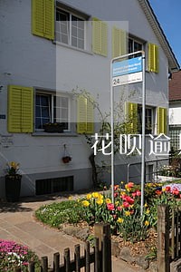 花呗逾期能办网贷 花呗逾期能办网贷