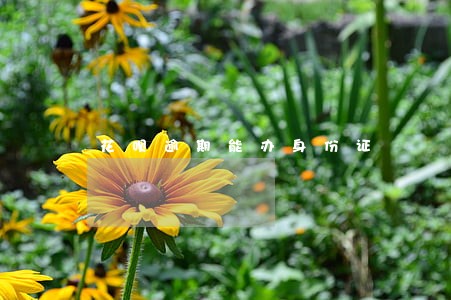 花呗逾期能办身份证 花呗逾期能办身份证