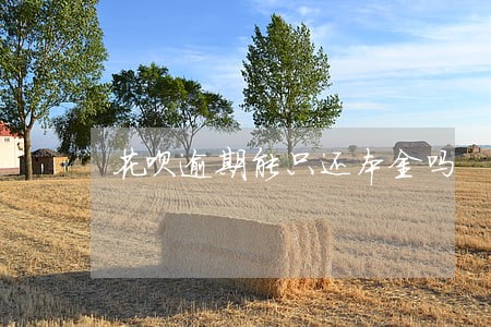 花呗逾期能只还本金吗 花呗逾期能只还本金吗