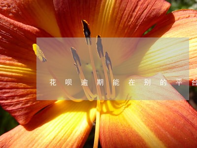 花呗逾期能在别的平台贷款吗 花呗逾期能在别的平台贷款吗