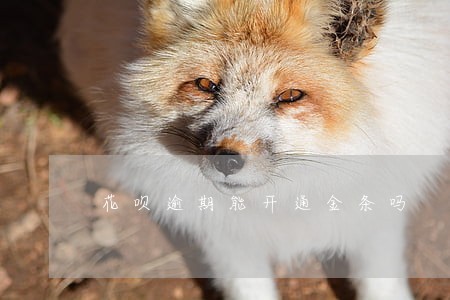花呗逾期能开通金条吗 花呗逾期能开通金条吗