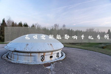花呗逾期能影响手机号码吗 花呗逾期能影响手机号码吗