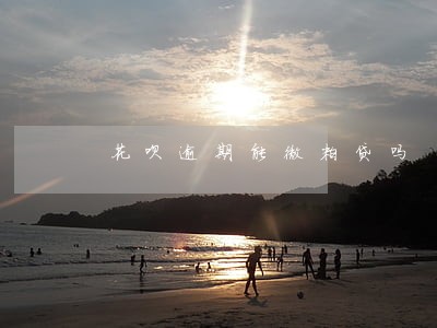 花呗逾期能微粒贷吗 花呗逾期能微粒贷吗
