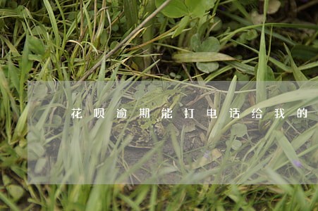 花呗逾期能打电话给我的通讯录吗 花呗逾期能打电话给我的通讯录吗