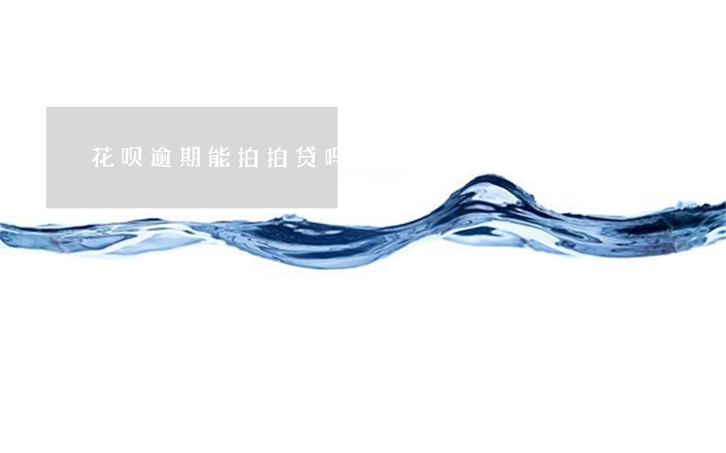 花呗逾期能拍拍贷吗 花呗逾期能拍拍贷吗