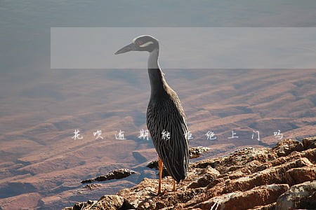 花呗逾期能拒绝上门吗 花呗逾期能拒绝上门吗