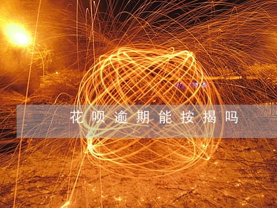 花呗逾期能按揭吗 花呗逾期能按揭吗