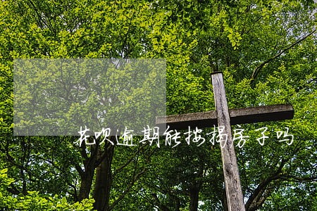 花呗逾期能按揭房子吗 花呗逾期能按揭房子吗