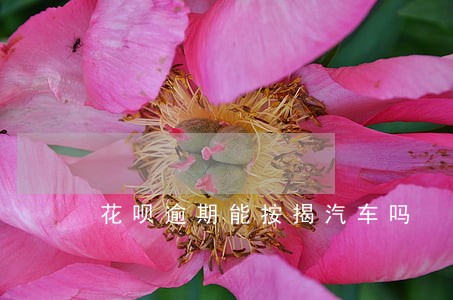 花呗逾期能按揭汽车吗 花呗逾期能按揭汽车吗
