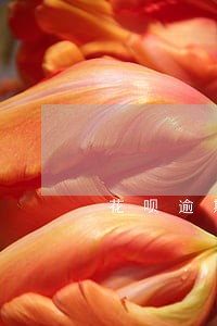 花呗逾期能按揭车辆嘛 花呗逾期能按揭车辆嘛