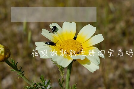 花呗逾期能注册淘宝店吗 花呗逾期能注册淘宝店吗