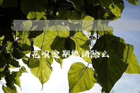 花呗逾期能消除么 花呗逾期能消除么