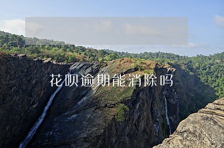 花呗逾期能消除吗 花呗逾期能消除吗