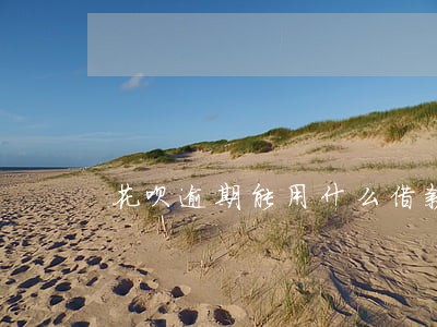 花呗逾期能用什么借款 花呗逾期能用什么借款