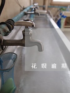 花呗逾期能用信用卡还款吗 花呗逾期能用信用卡还款吗