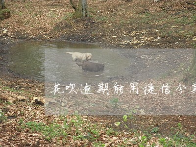 花呗逾期能用捷信分期 花呗逾期能用捷信分期