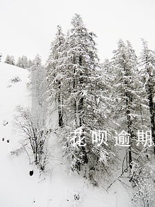 花呗逾期能用美团吗 花呗逾期能用美团吗