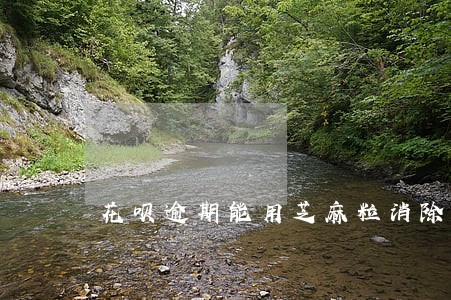花呗逾期能用芝麻粒消除吗 花呗逾期能用芝麻粒消除吗