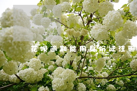 花呗逾期能用身份证注册公司吗 花呗逾期能用身份证注册公司吗