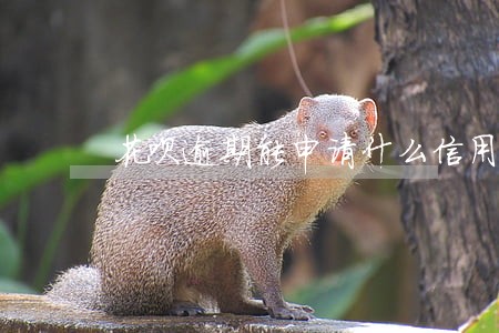 花呗逾期能申请什么信用卡 花呗逾期能申请什么信用卡