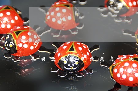 花呗逾期能申请减息还款么