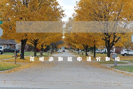 花呗逾期能申请分期吗 花呗逾期能申请分期吗