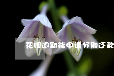 花呗逾期能申请分期还款 花呗逾期能申请分期还款