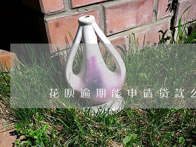 花呗逾期能申请贷款么 花呗逾期能申请贷款么