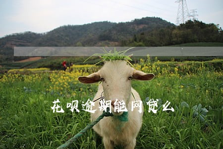 花呗逾期能网贷么 花呗逾期能网贷么