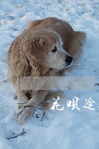 花呗逾期能解除绑定 花呗逾期能解除绑定