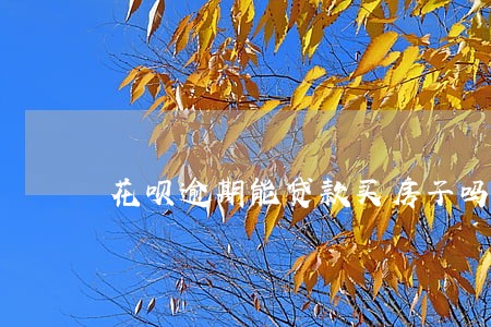 花呗逾期能贷款买房子吗 花呗逾期能贷款买房子吗