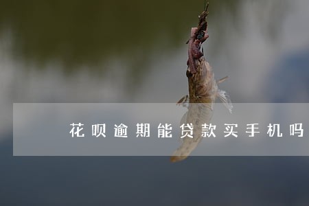 花呗逾期能贷款买手机吗 花呗逾期能贷款买手机吗