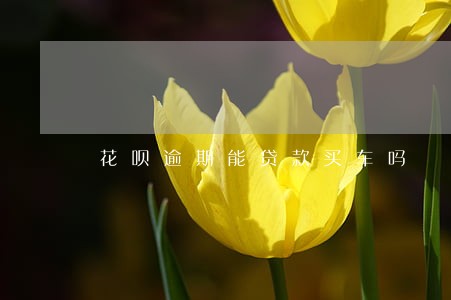 花呗逾期能贷款买车吗