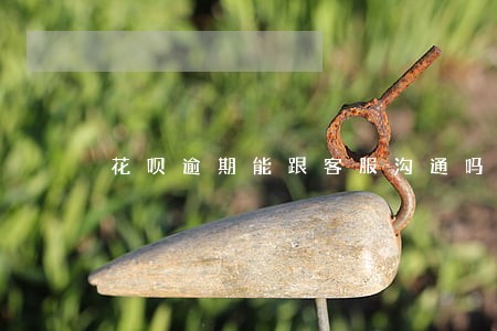 花呗逾期能跟客服沟通吗 花呗逾期能跟客服沟通吗