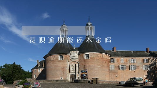花呗逾期能还本金吗 花呗逾期能还本金吗