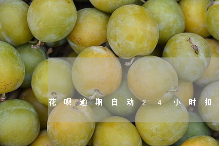花呗逾期自动24小时扣款 花呗逾期自动24小时扣款