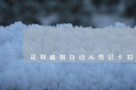 花呗逾期自动从借记卡扣款 花呗逾期自动从借记卡扣款