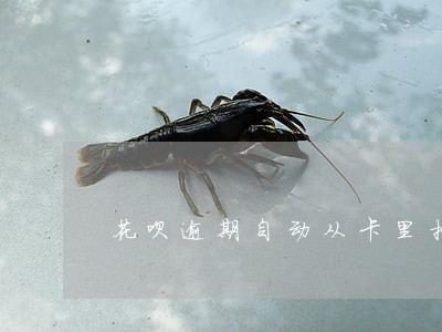 花呗逾期自动从卡里扣钱 花呗逾期自动从卡里扣钱