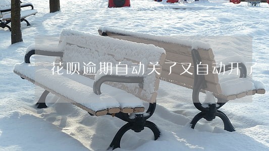 花呗逾期自动关了又自动开了 花呗逾期自动关了又自动开了