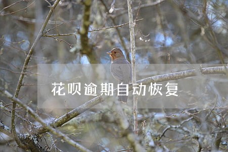 花呗逾期自动恢复 花呗逾期自动恢复