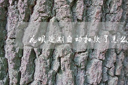 花呗逾期自动扣款了怎么办 花呗逾期自动扣款了怎么办