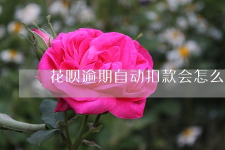 花呗逾期自动扣款会怎么样 花呗逾期自动扣款会怎么样