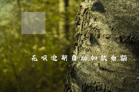 花呗逾期自动扣款余额 花呗逾期自动扣款余额