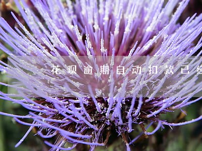 花呗逾期自动扣款已经扣了 花呗逾期自动扣款已经扣了